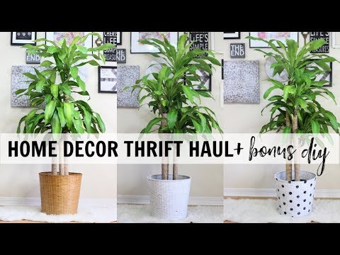 Home Decor Thrift Haul (+ a Bonus DIY) | RushOurFashion