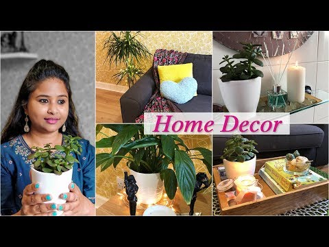 Home Decor Ideas | Decoration with Indoor Plants | Easy DIY Room Decor