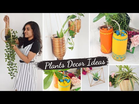 Plants Decorating Ideas | DIY Simple and Easy | Hanging Plants