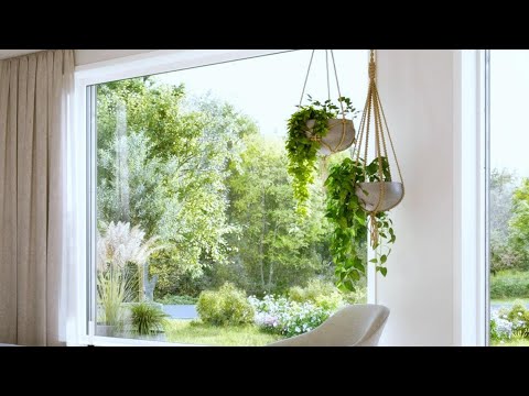 Great Ways to Decorate with Plants | Home Decorating Ideas (part 5)