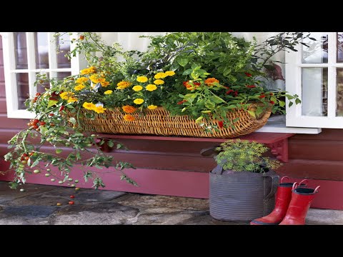 44 Exterior Home Decorating Ideas with Flowers on the Window | garden design