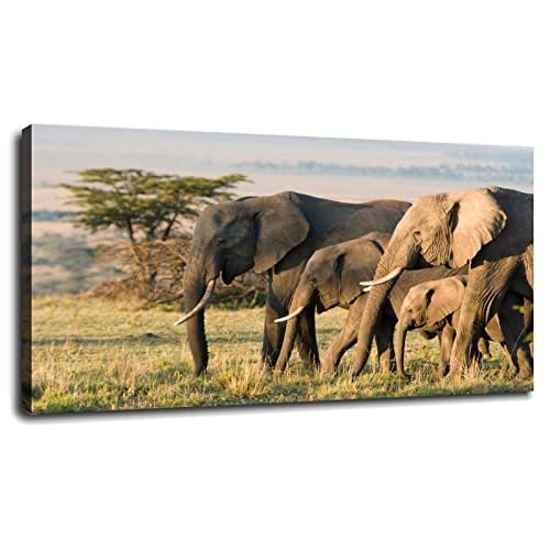 Elephant Pictures Wall Art Decor Canvas Prints Poster Print Wildlife Photography Photo Office Living Room Bedroom With Framed20 X12 0