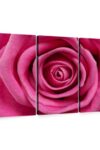 Hot Pink Rose Wall Art Horizontal Canvas 3 Piece Living Room Wall Decor Flower Photography Canvas Print Pink And Black Decor For Wall 65 X 42 0