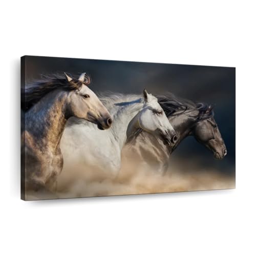 Magnificent Horses Canvas 1 Horse Pictures Wall Decor Printed Horse Art Wall Decor Horse Canvas Wall Art For Bedroom 36 X 24 0