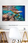 Vivid Sea Life Canvas 1 Panel Ocean Wall Art Decor Sealife Wall Art Fish Pictures Wall Decor Ocean Wall Art For Officehome 39 X 26 0 2