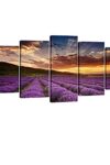 Wieco Art Lavender Field Abstract Canvas Prints Wall Art Purple Flowers Picture 5 Panels Modern Landscape Giclee For Living Room Bedroom Home Office Decorations 0