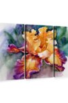 Yellow Iris Flower Wall Art Horizontal Canvas 3 Piece Living Room Wall Decor Watercolor Floral And Botanical Canvas Print Purple And Orange Decor For Wall 23 X 14 0