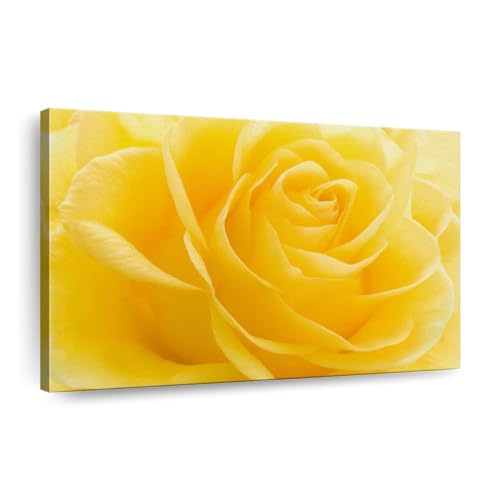 Yellow Rose Petals Floral Canvas Wall Art 1 Panel Yellow Color Pop Artwork Photography Easy Hang Yellow Flower Wall Art Canvas Yellow Wall Art For Living Room 12 X 8 0
